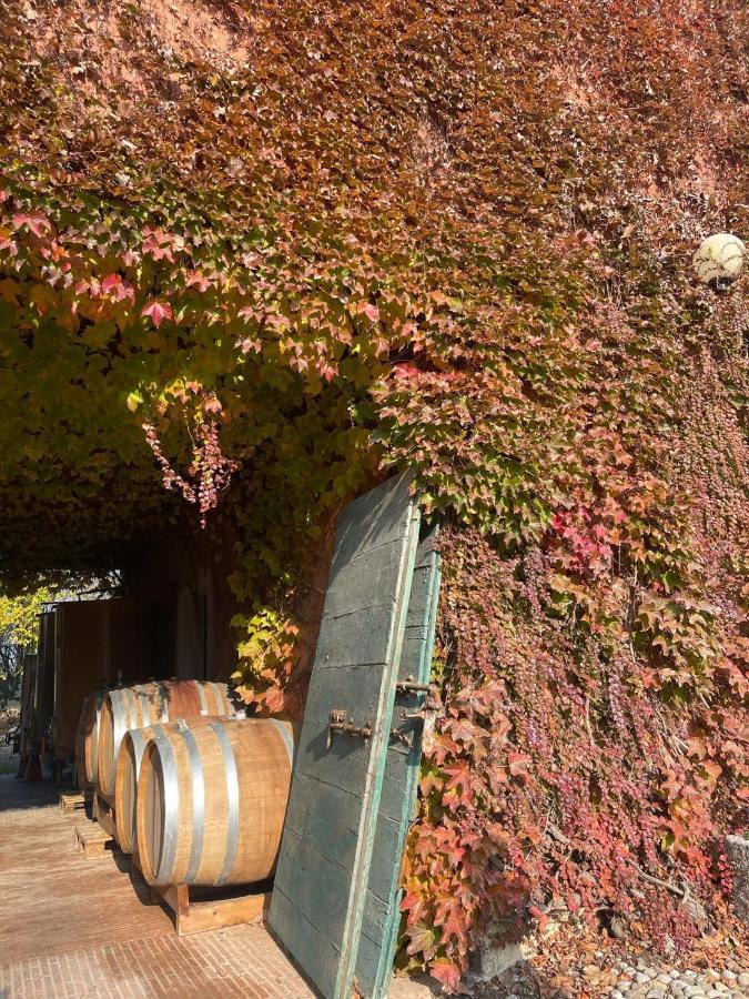 Tenuta Pizzone Wine Resort Риванаццано Екстер'єр фото